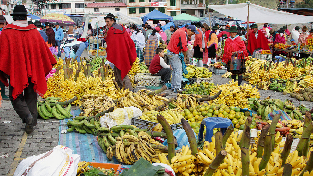 Busy plantain market in Ecuador. There are lots of fruits and plantains in the market and many of the people there are wearing ponchos and hats.